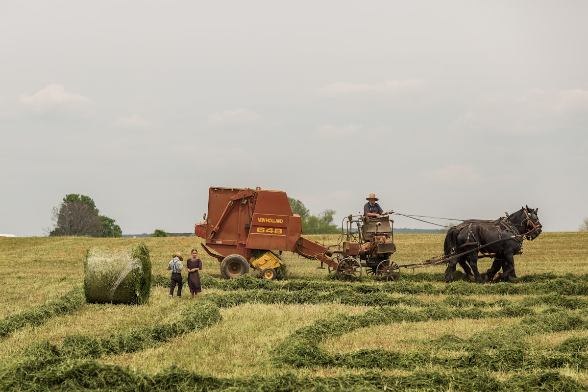  Polski Klaster Rolniczy "Agro Klaster"